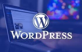 word press freelancer developer